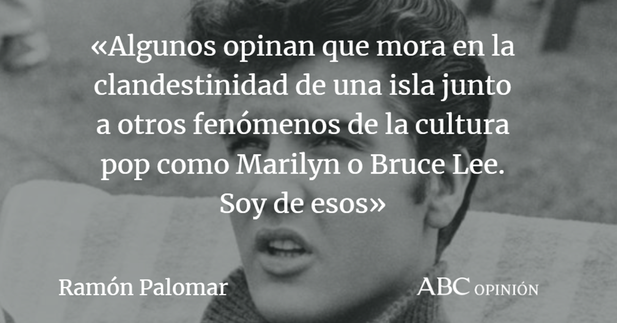 Ramón Palomar: Elvis vive