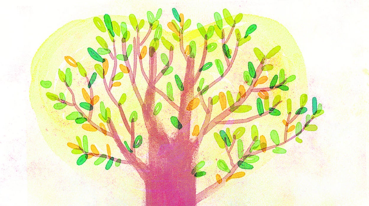 Manuel Lucena Giraldo: Por un 12 de Octubre hispano y global