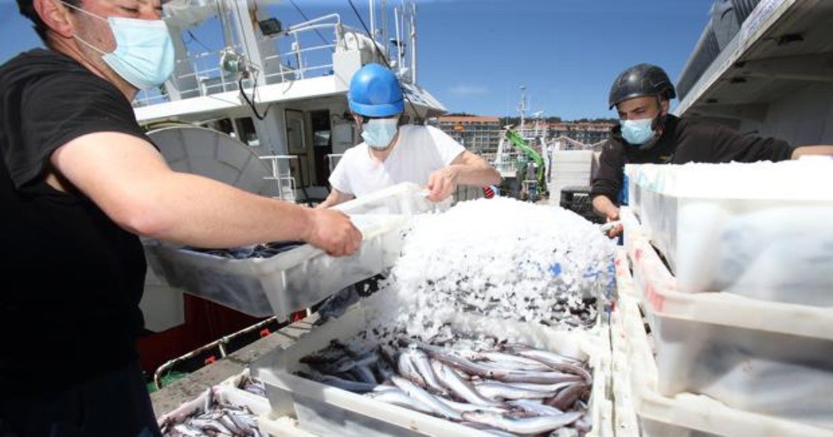 Editorial ABC: Bruselas vuelve a golpear a la pesca del Mediterráneo