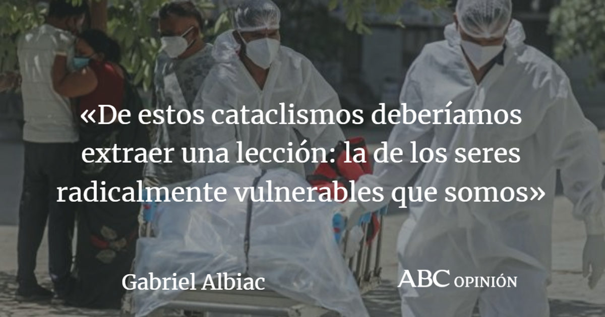 Gabriel Albiac: Junco frágil