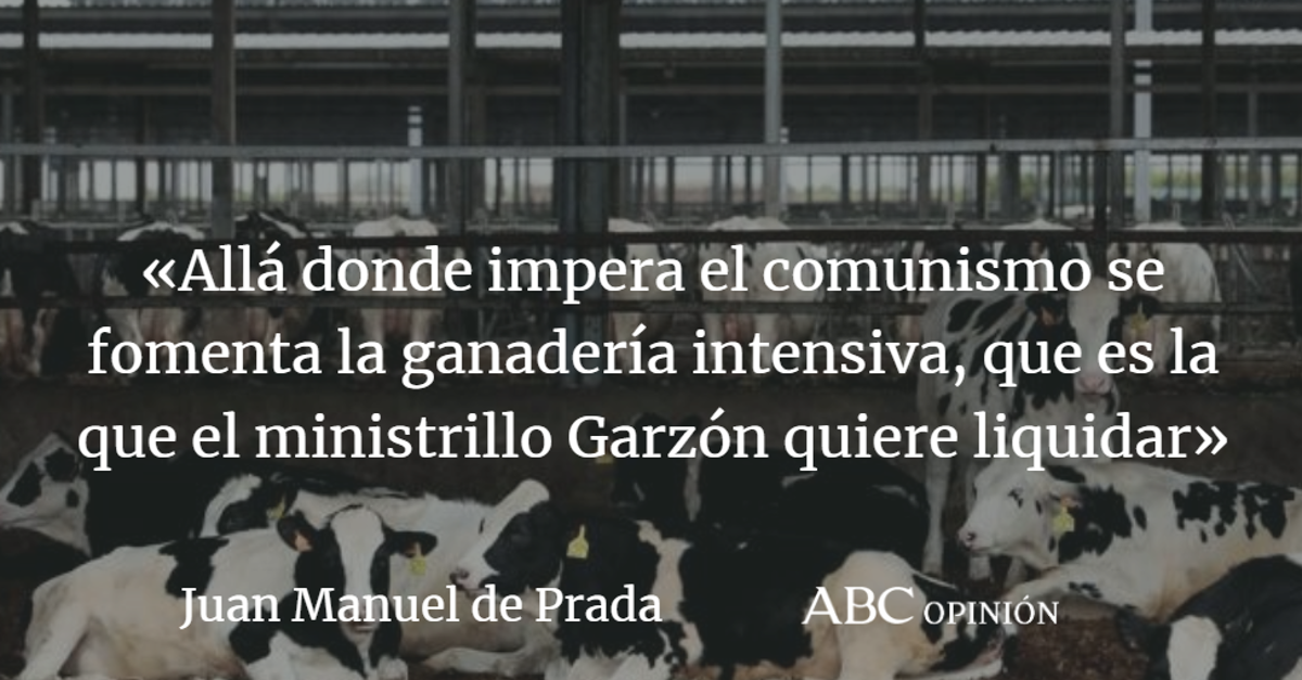 Juan Manuel de Prada: Más ganadería y menos comunismo