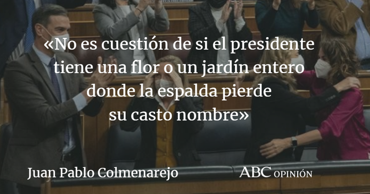 Juan Pablo Colmenarejo: El autogiro