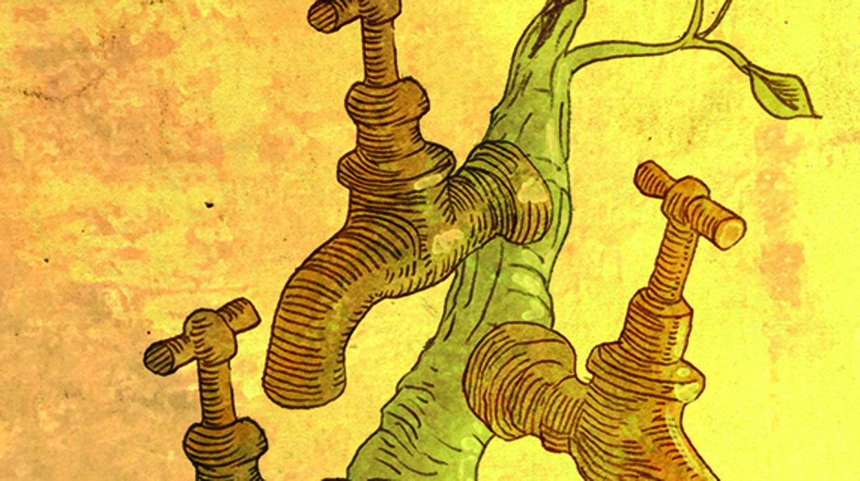 Rafael Ortiz Calzadilla: ¿Otra reforma fiscal?