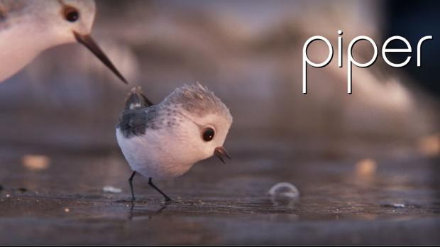 «Piper», uno de los cortos más bellos de la factoría Pixar, ya está disponible gratis en Internet