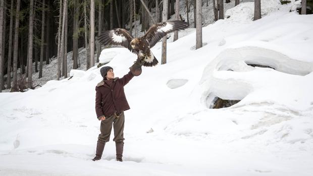 Comunión con la naturaleza entre los Alpes y águilas