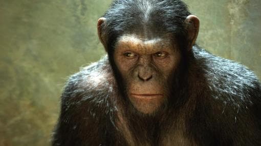 César (Andy Serkis) en «El origen del planeta de los simios»