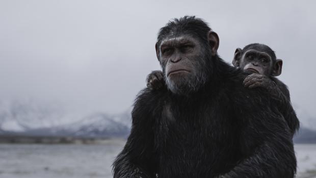 «La guerra del planeta de los simios»: quiénes son las bestias, ¿el hombre o los monos?