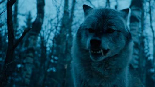 Un lobo huargo desconocido aparece en la promo del segundo capítulo de «Juego de Tronos»