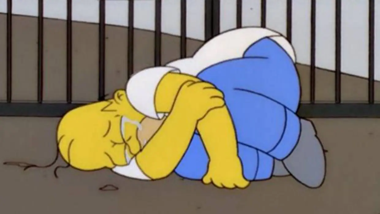 Homer en Los Simpson