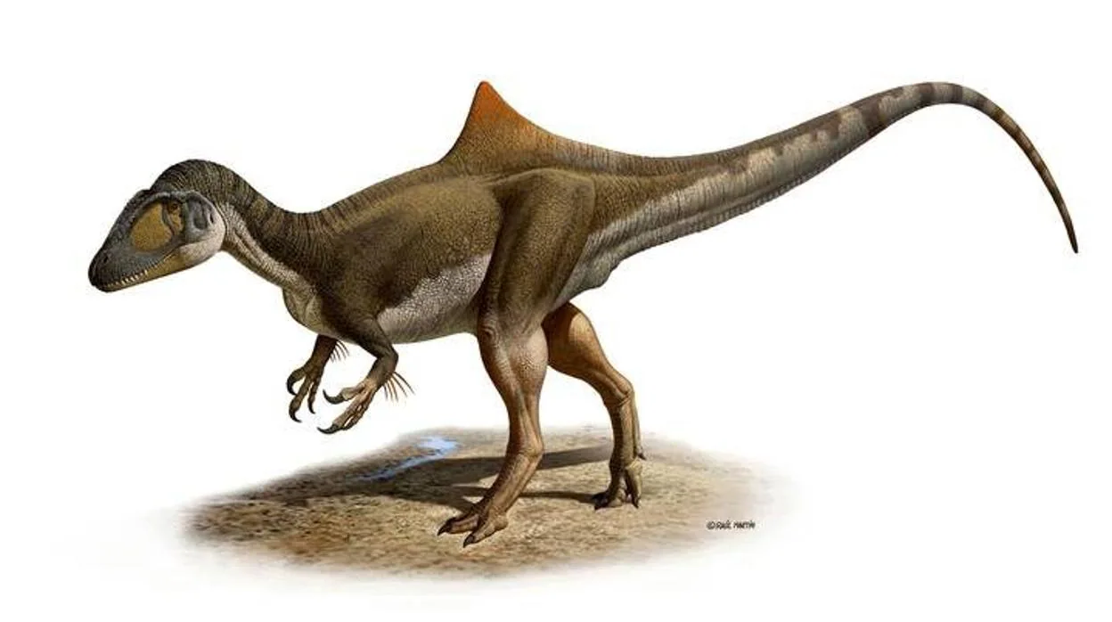 «Pepito», un Concavenator Corcovatus que paseó por Las Hoyas (Cuenca) hace 125 millones de años