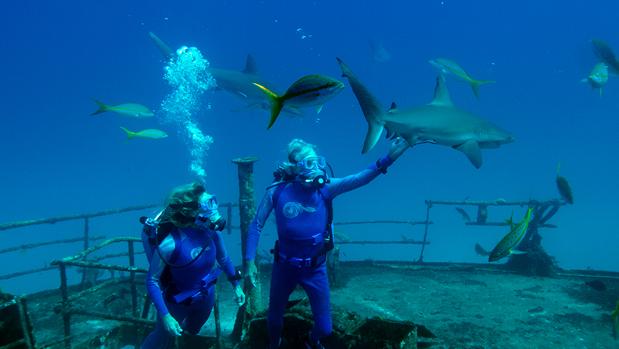 Crítica de Las maravillas del mar: Otra de Cousteau: ¡chapeau!