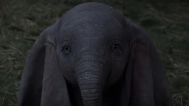 El «Dumbo» de Tim Burton ya vuela alto