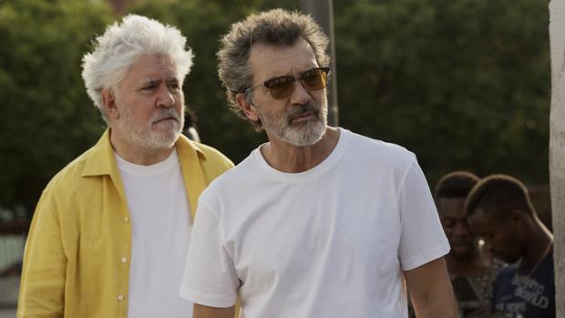 Almodóvar, Terrence Malick, Ken Loach y Xavier Dolan estarán en la Sección Oficial de Cannes, según Variety