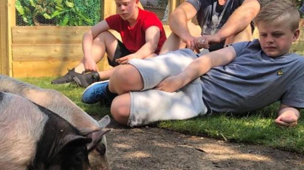 Un reality obligará a las familias a decidir si se comen a su mascota o se hacen vegetarianos