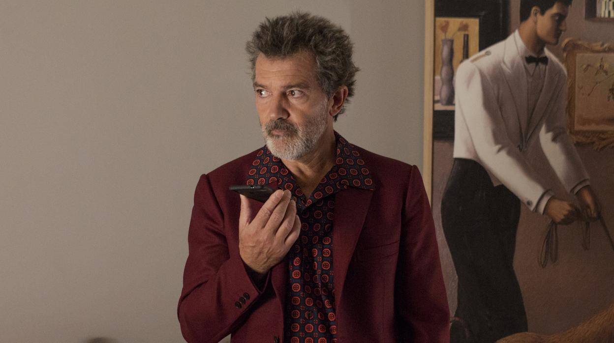 Dolor y gloria, nominada al Goya a mejor película, director, actor (Antonio Banderas), actriz... Y así hasta 16 candidaturas