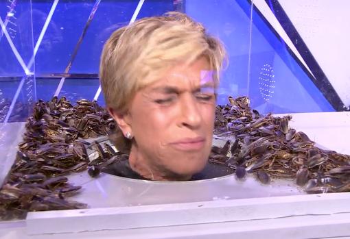 La colaboradora gallega, entre cucarachas