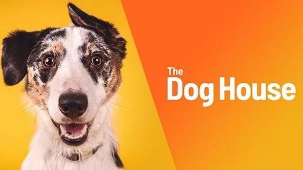 Perros y confinamiento, tendencias en el MIPTV