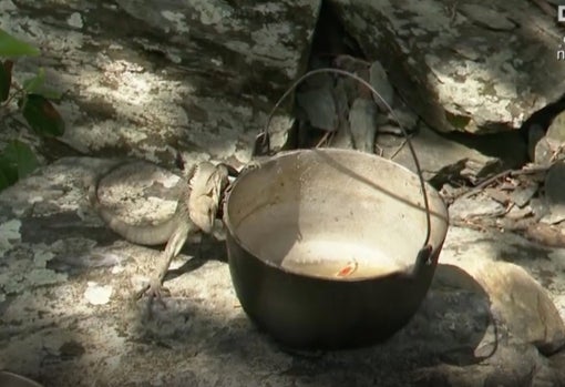 La nueva amiga de Marta Peñate