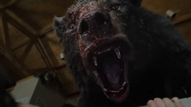 La historia real tras la película 'Cocaine Bear', el oso que murió por un empacho de cocaína