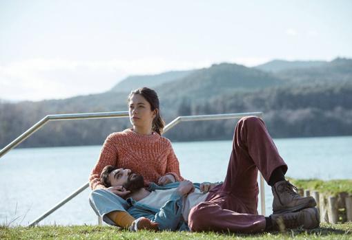 ‘Girasoles silvestres’