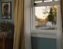 La ventana de 'The Last of Us'