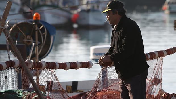 Las claves de la nueva ley de los trabajadores del mar