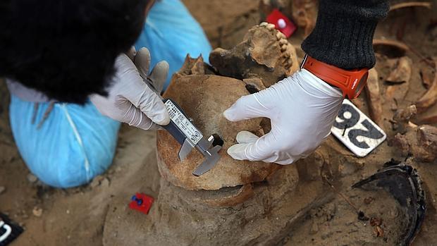 Esperan recuperar restos de más de 100 víctimas del franquismo en una exhumación en Puerto Real