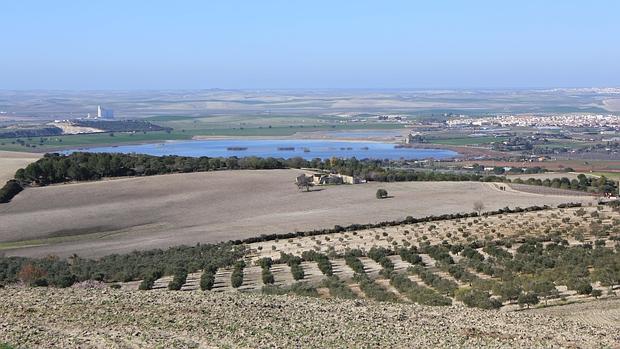 La Laguna de Los Tollos aporta una gran riqueza medioambiental a la comarca del Bajo Guadalquivir