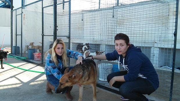Sandy Viotti e Isabel Vega, junto a uno de los perros del refugio canino El sueño de Mufie