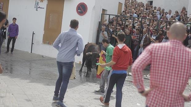 Gran afluencia de público y escasos incidentes en el toro &#039;embolao&#039; de Vejer