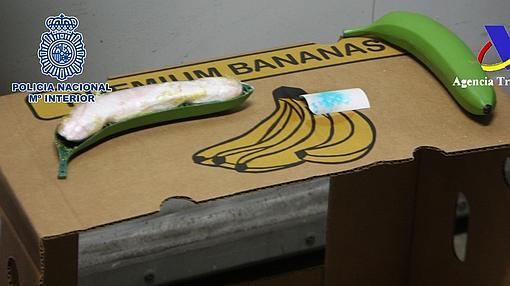 Bananas de plástico rellenas de cocaína