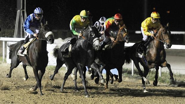 Disputa del I Gran Meeting Internacional de Carreras Nocturnas de caballos de raza árabe