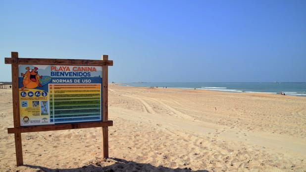 Una playa canina enfrentada entre lo positivo y lo negativo