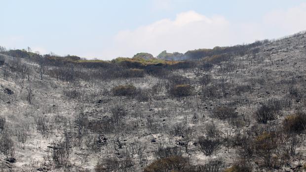 El Infoca mantiene labores de vigilancia en el incendio de La Línea, controlado desde este jueves