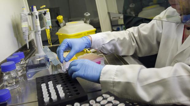 Un agente del Cuerpo Nacional trabajando en el laboratorio