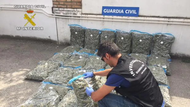 La Guardia Civil ha localizado 102 kilos de marihuana en Los Palacios
