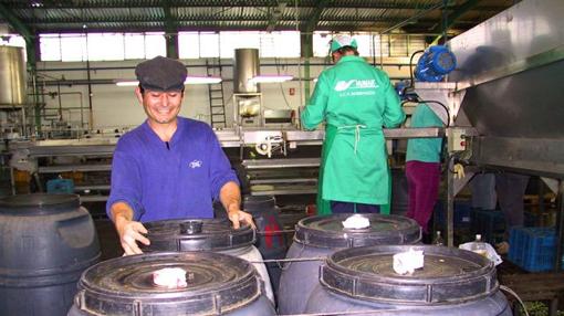 Fábrica de conservas de Marinaleda