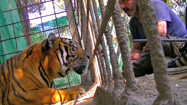 La Junta no ha detectado «ninguna irregularidad» en el zoo de Castellar