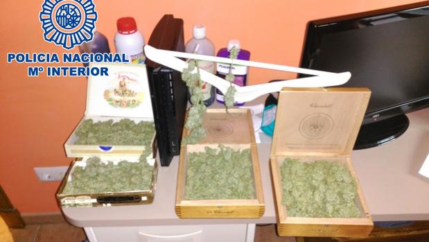 Detenido por cultivar marihuana en un chalet en El Puerto