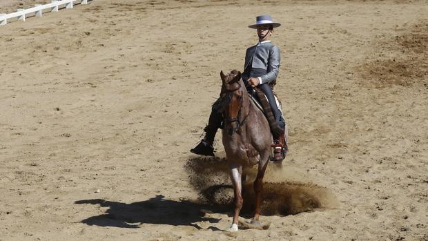 Carmona acogerá el Campeonato de España de Doma Vaquera