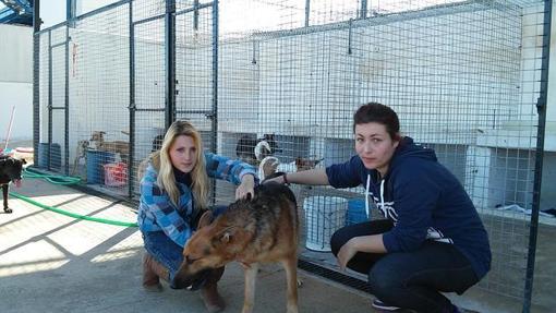 Dos voluntarias con uno de los perros del refugio