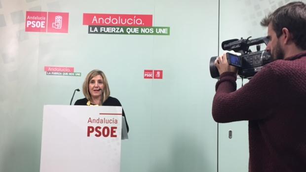 Irene García durante su cmparecencia en la sede provincial del PSOE