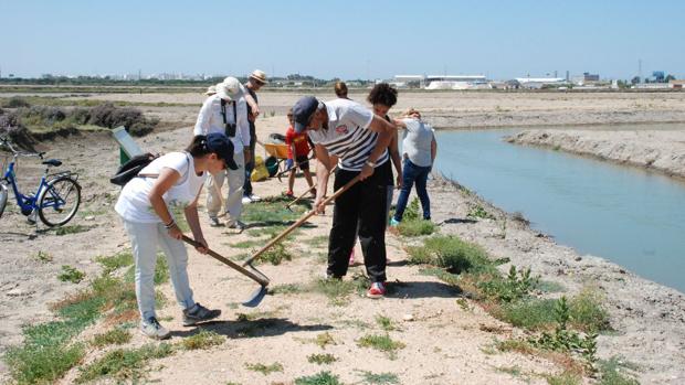 El Parque Natural Bahía de Cádiz apela al compromiso de la ciudadanía