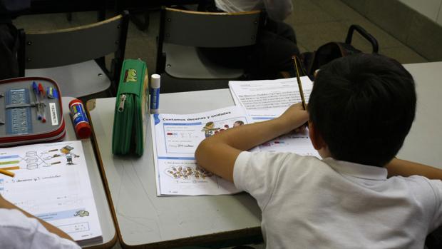 El Ayuntamiento pide a los padres de Cádiz que matriculen a sus hijos en colegios públicos