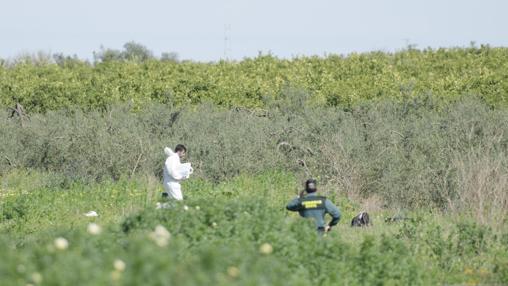 El detenido en el presunto homicidio de Pilas es el que avisó a la Guardia Civil