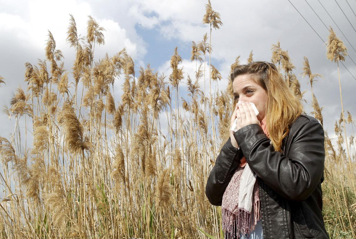 Los especialistas esperan una primavera suave para los alérgicos