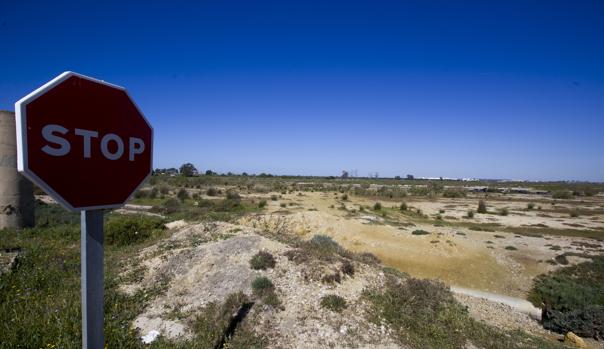 Puerto Real recuerda que hay más de 140 hectáreas de terreno para continuar con el proyecto