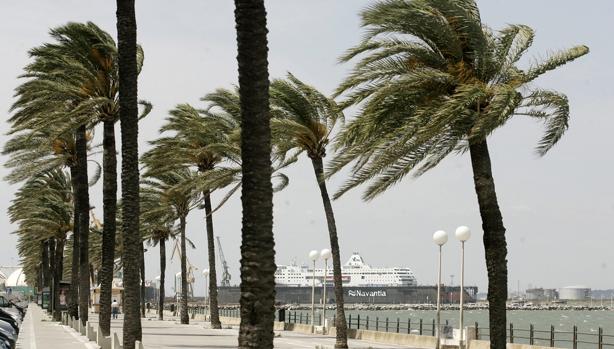 El viento de levante azota Cádiz con fuerza