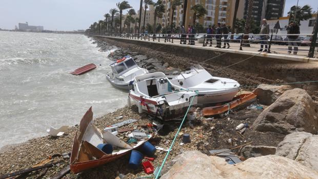 Las rachas de viento tumban árboles y señales de teimpo