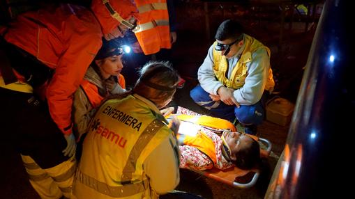 Profesionales sanitarios, bomberos, militares y una unidad canina participaron en el ejercicio